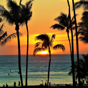 Watching Sunset In Maui
