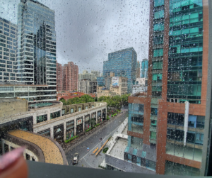 Rainy Day In Shanghai